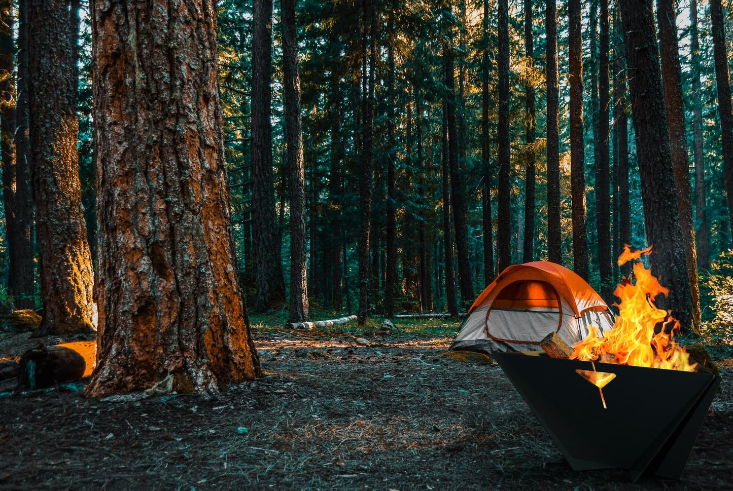 The Delta black steel fire pit with active flame several feet from a tent in a forested campsite setting.